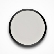 Acrylic Color Powder - Lily Picasso 6g